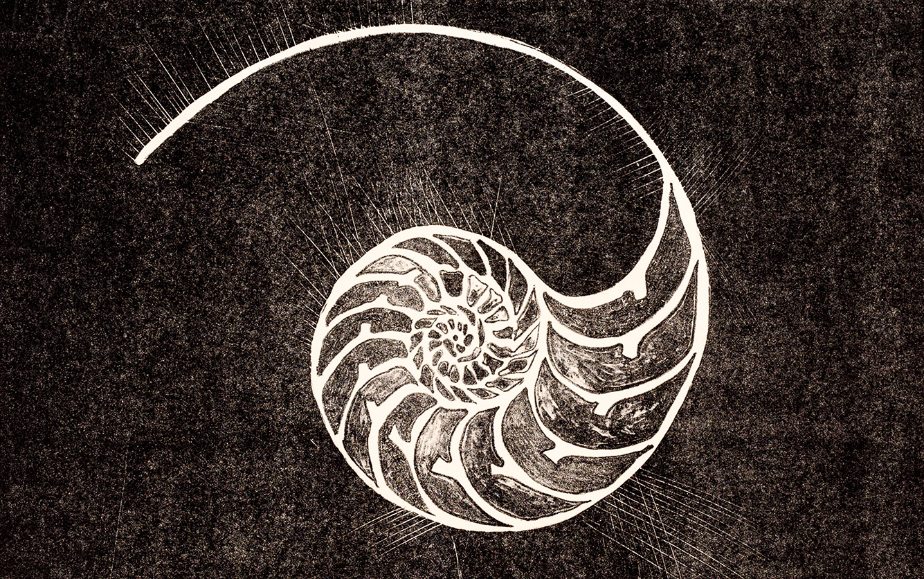 44. Nautilus Print & Pasta House Gift Card Gallery X